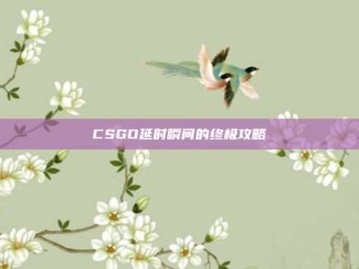 CSGO延时瞬间的终极攻略
