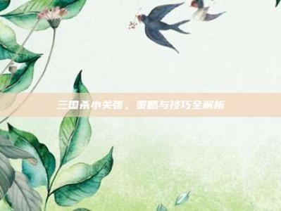 三国杀小关张，策略与技巧全解析
