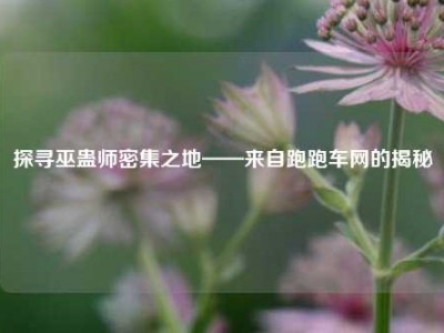 探寻巫蛊师密集之地——来自跑跑车网的揭秘