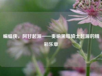 蝙蝠侠，阿甘起源——奏响黑暗骑士起源的精彩乐章
