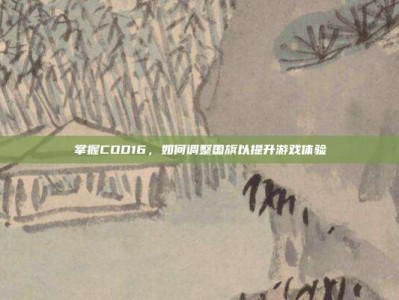 掌握COD16，如何调整国旗以提升游戏体验