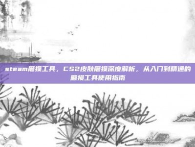 steam磨损工具，CS2皮肤磨损深度解析，从入门到精通的磨损工具使用指南
