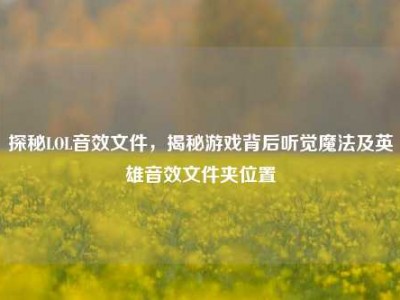 探秘LOL音效文件，揭秘游戏背后听觉魔法及英雄音效文件夹位置