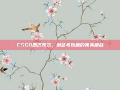 CSGO恶搞改装，创意与乐趣的完美结合