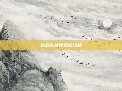 逆战布兰妮搭档攻略