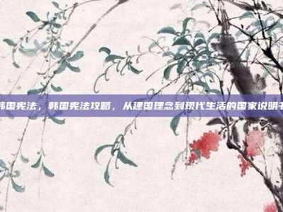 韩国宪法，韩国宪法攻略，从建国理念到现代生活的国家说明书