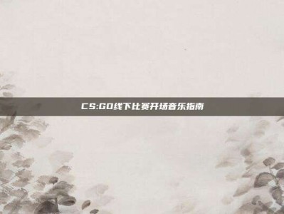 CS:GO线下比赛开场音乐指南