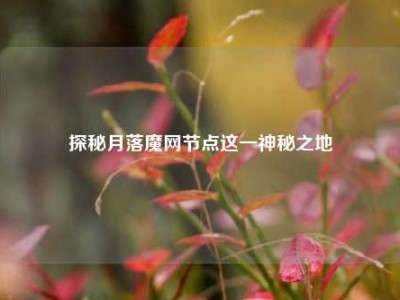 探秘月落魔网节点这一神秘之地