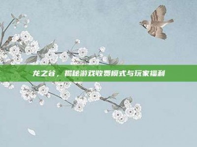 龙之谷，揭秘游戏收费模式与玩家福利