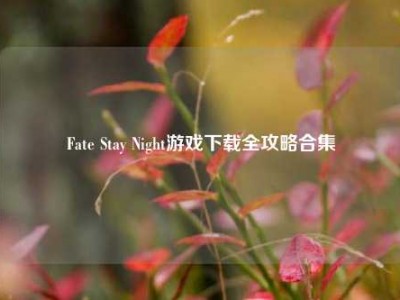 Fate Stay Night游戏下载全攻略合集