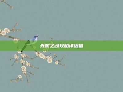 光明之魂攻略详细图
