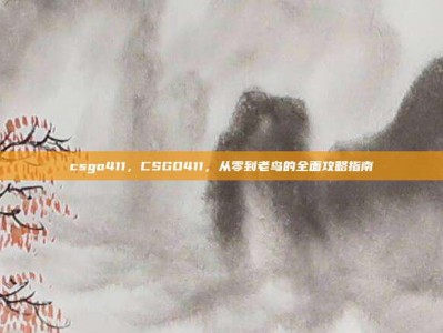 csgo411，CSGO411，从零到老鸟的全面攻略指南