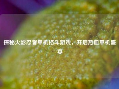 探秘火影忍者单机格斗游戏，开启热血单机盛宴