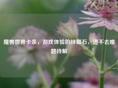 魔兽世界卡条，游戏体验的绊脚石，进不去难题待解