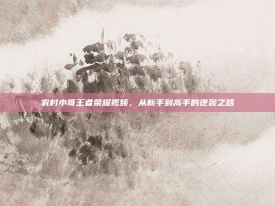 农村小哥王者荣耀视频，从新手到高手的逆袭之路
