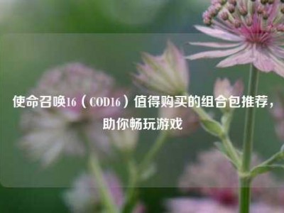使命召唤16（COD16）值得购买的组合包推荐，助你畅玩游戏