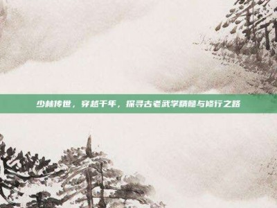 少林传世，穿越千年，探寻古老武学精髓与修行之路