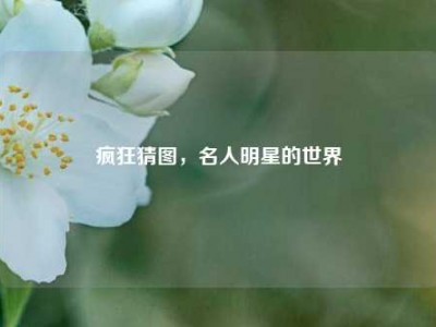 疯狂猜图，名人明星的世界