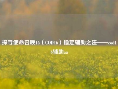 探寻使命召唤16（COD16）稳定辅助之法——cod16辅助aa