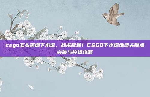 csgo怎么疏通下水道，战术疏通！CSGO下水道地图关键点突破与控场攻略