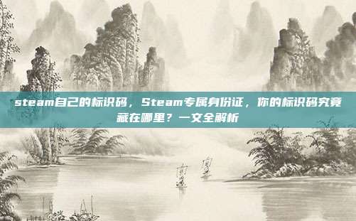 steam自己的标识码，Steam专属身份证，你的标识码究竟藏在哪里？一文全解析