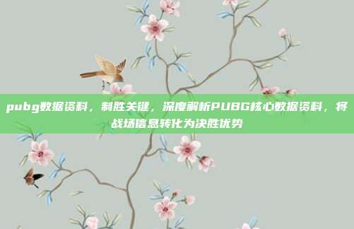 pubg数据资料，制胜关键，深度解析PUBG核心数据资料，将战场信息转化为决胜优势