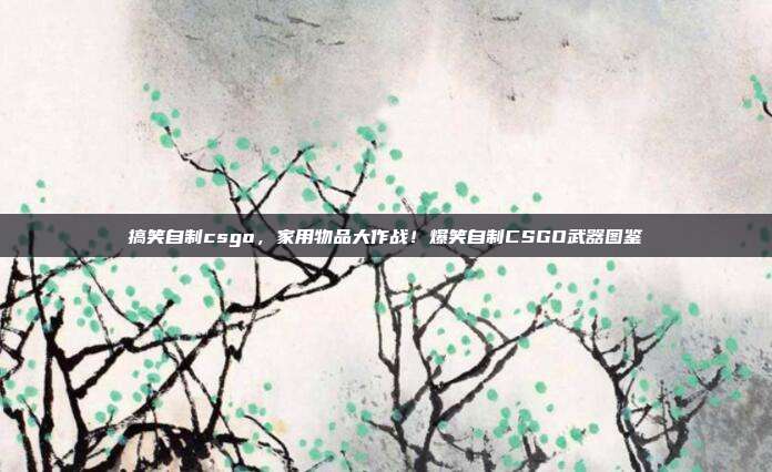 搞笑自制csgo，家用物品大作战！爆笑自制CSGO武器图鉴