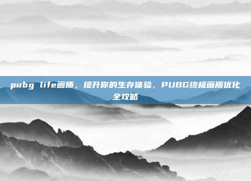 pubg life画质，提升你的生存体验，PUBG终极画质优化全攻略