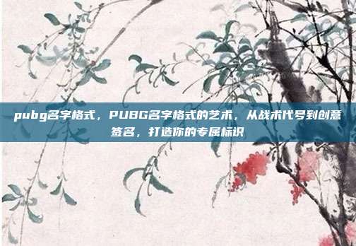 pubg名字格式，PUBG名字格式的艺术，从战术代号到创意签名，打造你的专属标识