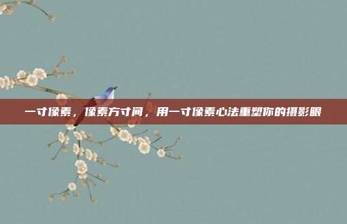 一寸像素，像素方寸间，用一寸像素心法重塑你的摄影眼