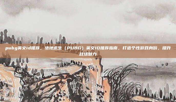 pubg英文id推荐，绝地求生（PUBG）英文ID推荐指南，打造个性游戏身份，提升战场魅力