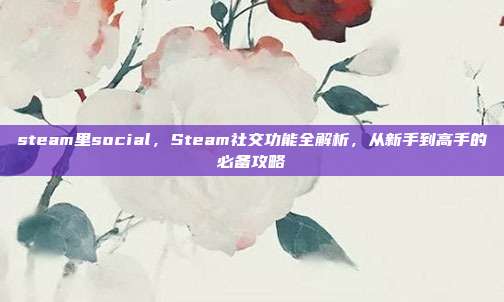 steam里social，Steam社交功能全解析，从新手到高手的必备攻略