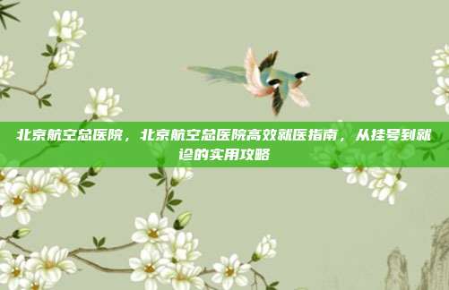 北京航空总医院，北京航空总医院高效就医指南，从挂号到就诊的实用攻略