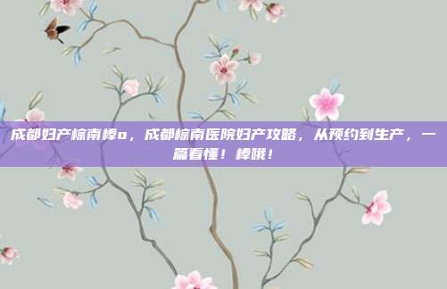 成都妇产棕南棒o，成都棕南医院妇产攻略，从预约到生产，一篇看懂！棒哦！