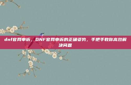 dnf官网申诉，DNF官网申诉的正确姿势，手把手教你高效解决问题