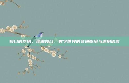接口的作用，理解接口，数字世界的交通枢纽与通用语言