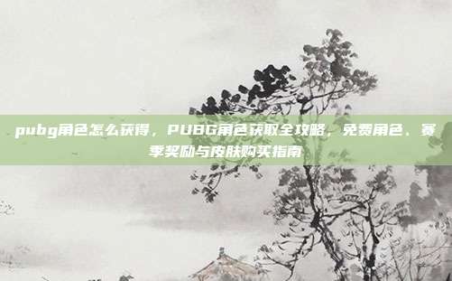 pubg角色怎么获得，PUBG角色获取全攻略，免费角色、赛季奖励与皮肤购买指南