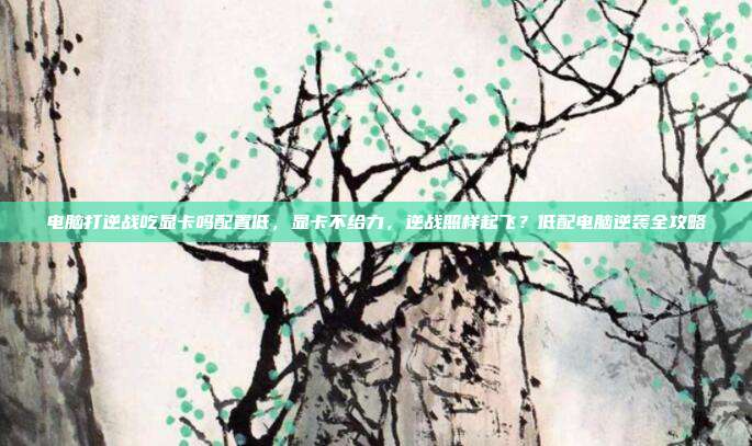 电脑打逆战吃显卡吗配置低，显卡不给力，逆战照样起飞？低配电脑逆袭全攻略
