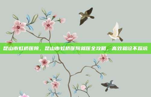 昆山市虹桥医院，昆山市虹桥医院就医全攻略，高效就诊不踩坑