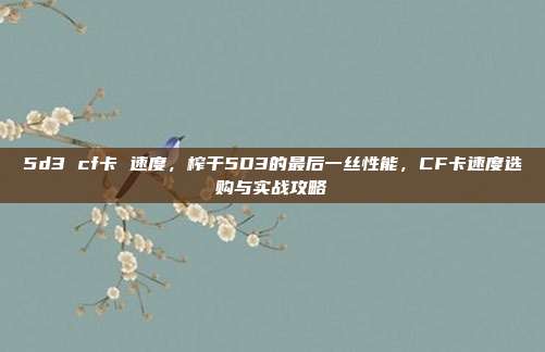 5d3 cf卡 速度，榨干5D3的最后一丝性能，CF卡速度选购与实战攻略