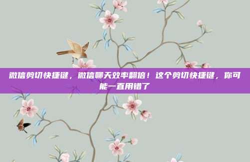 微信剪切快捷键，微信聊天效率翻倍！这个剪切快捷键，你可能一直用错了