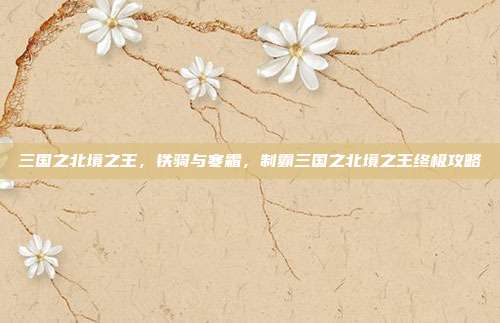 三国之北境之王，铁骑与寒霜，制霸三国之北境之王终极攻略