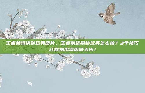 王者荣耀拼装玩具图片，王者荣耀拼装玩具怎么拍？3个技巧让你拍出高级感大片！