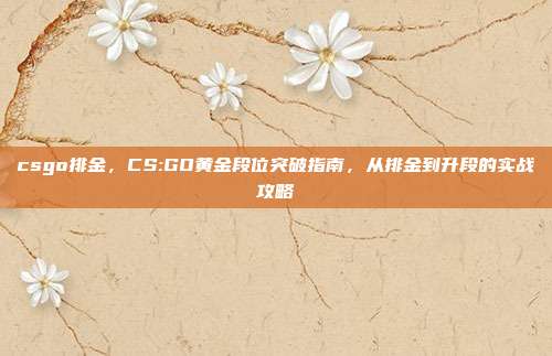 csgo排金，CS:GO黄金段位突破指南，从排金到升段的实战攻略