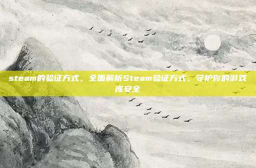 steam的验证方式，全面解析Steam验证方式，守护你的游戏库安全