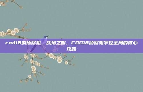 cod16的侦察机，战场之眼，COD16侦察机掌控全局的核心攻略