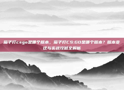 茄子打csgo是哪个版本，茄子打CS:GO是哪个版本？版本变迁与实战攻略全解析