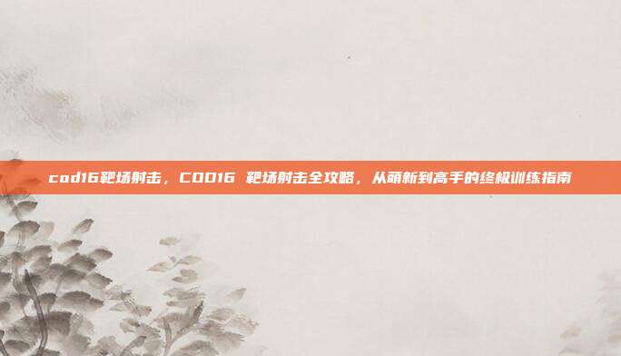 cod16靶场射击，COD16 靶场射击全攻略，从萌新到高手的终极训练指南