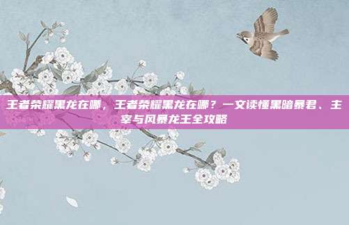 王者荣耀黑龙在哪，王者荣耀黑龙在哪？一文读懂黑暗暴君、主宰与风暴龙王全攻略