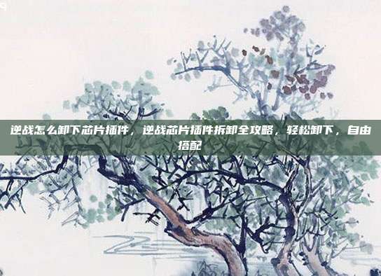 逆战怎么卸下芯片插件，逆战芯片插件拆卸全攻略，轻松卸下，自由搭配